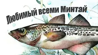 Главная особенность Минтая за что его все любят и покупают