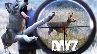 DayZ 1.26 Experimental is here! 1440p Livestream