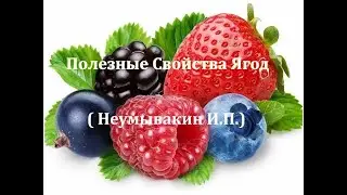 Неумывакин: Полезные Свойства Ягод! Очень Важно для Здоровья!