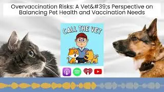 Overvaccination Risks: A Vet's Perspective on Balancing Pet Health and Vaccination Needs