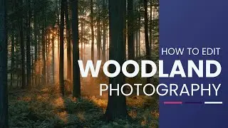 Are you doing your WOODLAND PHOTO edits like this?