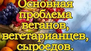 Основная проблема веганов, вегетарианцев, сыроедов.