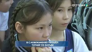 В с. Новокаменка прошел турнир по борьбе