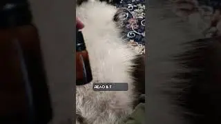 Заживление ран без шрамов 