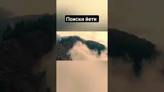 #йети