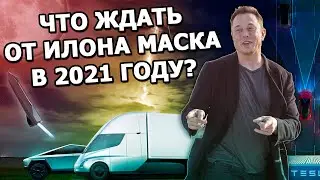 Илон Маск: что ожидать в 2021 году