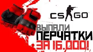 ВЫПАЛИ ПЕРЧАТКИ ЗА 16.000! - МОЯ ПРЕЛЕСТЬ! - ОТКРЫТИЕ КЕЙСОВ CS:GO!