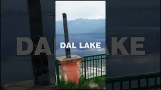 Nehru Park  Dal Lake Srinagar |  Dal Lake Shikara Ride #shorts