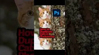 How to duplicate cat in ps |clone stamp | clone source | #clone #photoshop #utubeshorts #cats