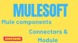 Mule4 Components Connectors and Module | Mule 4| Mulesoft