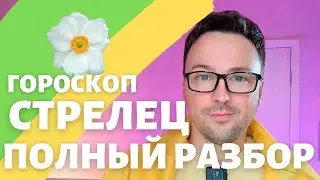 🌸СТРЕЛЕЦ ГОРОСКОП МАЙ 2024 ПО ДЕКАДАМ 🔥