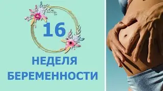 16 Неделя Беременности. Развитие плода и ощущения мамы