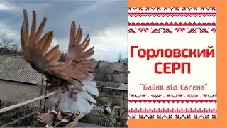 Серпатые Голуби Горловки.