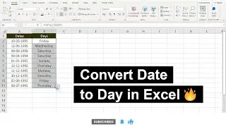 Formula To Extract Day Name From Date In Excel | Excel Tips For Beginners | Excel Tutorial | 