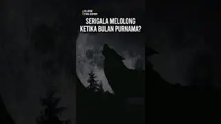 Serigala Melonglong Ketika Bulan Purnama? #ewinghd #shorts #animals