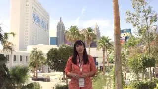 IVRPA Las Vegas 2014 360° VR Photography & Video Conference