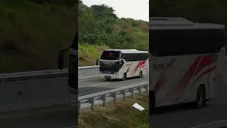 Bus Murni Jaya di Tol Trans Jawa #bus #busmania #buspariwisata #busjourney #bustravel #busholic