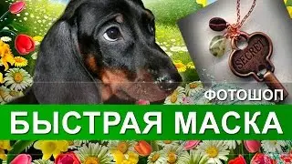 Быстрая маска. Как выделить объект в Фотошопе быстрой маской