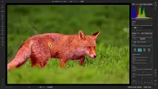 Lesson 1   First Edit & Export