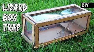 How to make a cardboard LIZARD TRAP | DIY Box Trapping device