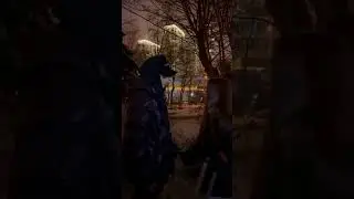 я так за них боялась💔/Аллен Дуэль Лия Стеффи/Хейден и Лия
