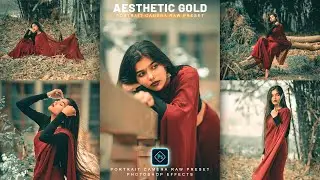 Aesthetic Gold Tone | Color Grading Photoshop Camera Raw Presets