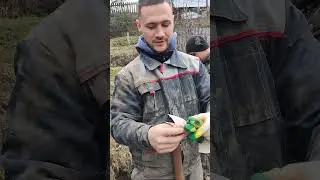 Довольный Глеб и недовольный Я) 