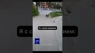 У кого такое же зрение ставь + в комментах 🤣