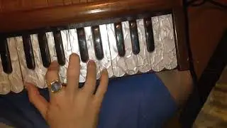 Мелодия Шиштакрита пр. от Тилакини д.д. - Shishtakrits pr. melody tutorial by Tilakini dd