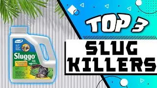 Best Slug Killers to Eliminate the Pests in Your Garden