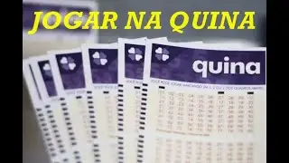 COMO JOGAR NA QUINA | LOTERIA  CAIXA