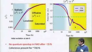 Quantum Mechanics of Photosynthetic Light Harvesting Machinery (Google Workshop on Quantum Biology)