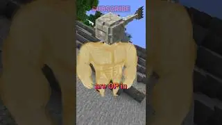 YOU DONT KNOW THIS ELDER GUARDIAN FACT!