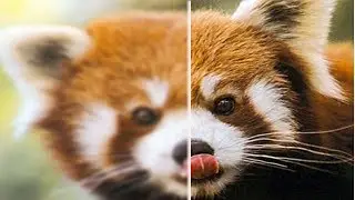 How To Quickly Fix and Sharpen Blurry Photos In Photoshop