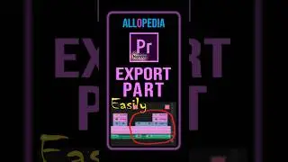 Premiere Pro: How to Export Part of your Timeline | Premiere Pro Basic Tutorial in Hindi 
