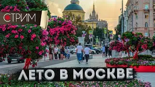 Гуляем по центру – Фестиваль «Лето в Москве» – СТРИМ