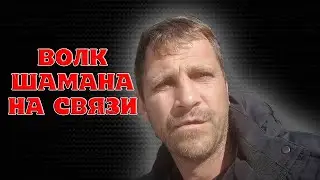 Андрей Волк. Волк Шамана Саха Александра Габышева.