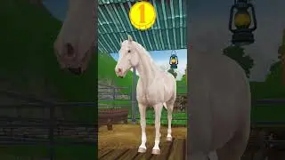 I Couldn't Resist😅🐴 