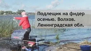 Подлещик на фидер осенью. Волхов. Ленинградская обл.