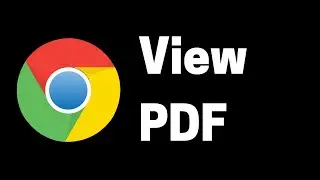 How to View Pdf on Google Chrome Browser