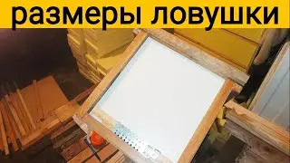 Размеры ловушки для пчел. Пчелы бесплатно