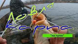 Ловля карпа на 