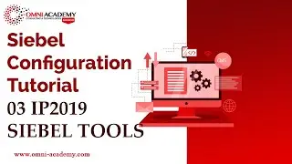 Siebel Configuration Tutorial 03   IP2019 SIEBEL TOOLS  - OMNI ACADEMY