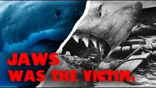 The Shark in Jaws Did Nothing Wrong - An Ecological Video Essay