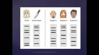 DNA Profiling