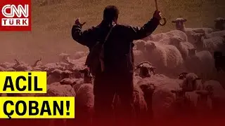 Acil 150 Bin Çoban Aranıyor! Çobanlar 100 Bin TL Maaş Mı Alacak?