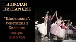 Николай Цискаридзе  