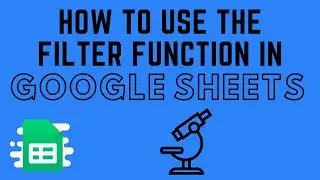 How to Use the FILTER Function in Google Sheets