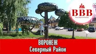 ВОРОНЕЖ. СЕВЕРНЫЙ РАЙОН. ВАШ ВЕРНЫЙ ВЫБОР.