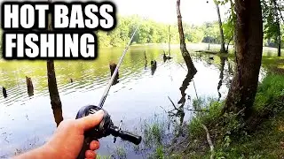 Where To Catch Bass When Its HOT - Hot Bass Fishing Lures and Tips!